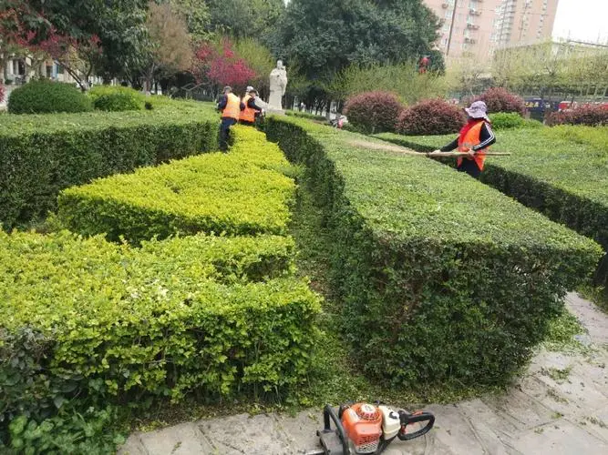 风景园林管理的发展瓶颈：如何实现城市与自然的和谐共生